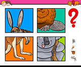 activity game with animals