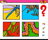 activity game with insects