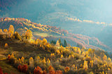 Autumn in the Carpathian mountains