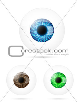 Set of human eyeball. Blue, brown and green.