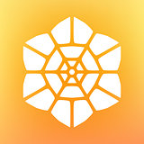 Vector Decorative Mandala Ornaments Logo Illustration