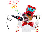 happy new year dog celberation