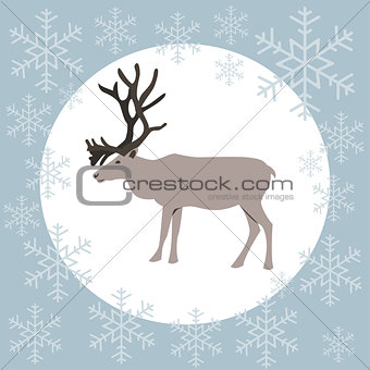 Christmas card reindeer blue