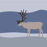Reindeer in winter mountains