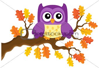 Autumn owl theme image 1