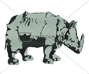 Rhino, rhinoceros