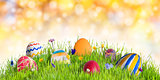 Easter Eggs in Grass