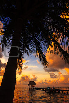 Belize Caye Caulker, Coconut Sunset