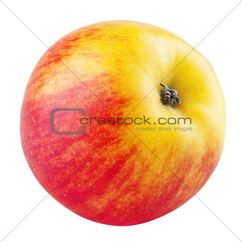 Single fresh red yellow apple isolated on white