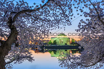 Jefferson Memorial in Spring