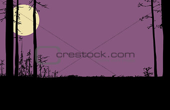 Nighttime wilderness scene with moon in sky