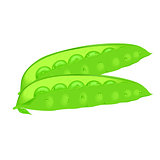 Pods of green peas isolated vector illustration