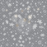 closeup snow transparent backdrop
