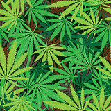 cannabis hemp texture
