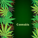 cannabis hemp background