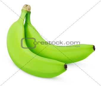 Two green bananas isolated on white