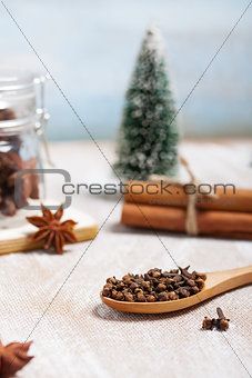 Christmas composition with dry star anise, cinnamon and cloves