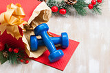Christmas gift blue sport dumbbells