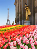 eiffel tour and statues of Trocadero