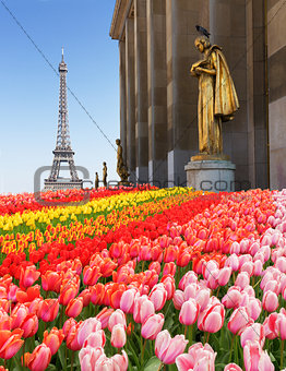 eiffel tour and statues of Trocadero