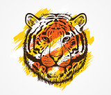 Tiger Head Colorful