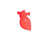 Vector red heart