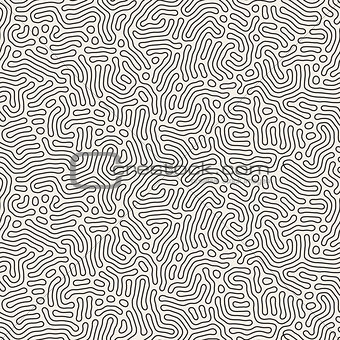 Vector Seamless Black And White Coral Organic Line Texture Pattern
