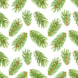 Seamless pattern of fir tree branches on white