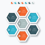 Vector illustration infographics seven hexagons