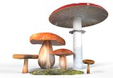 ceps, paxil, amanita muscaria mushrooms with moss isolated on white 3d illustration