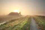farmland at misty sunrise