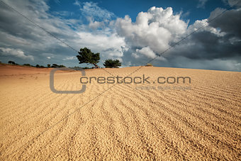 sand wave texture on dune and beautiful sky