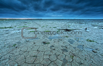 cracked Wadden sea coast in summer at low tide