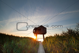 sunbeams behind wooden observation tower