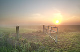 misty sunrise on Dutch farmland