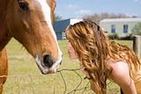 Kiss for Horse