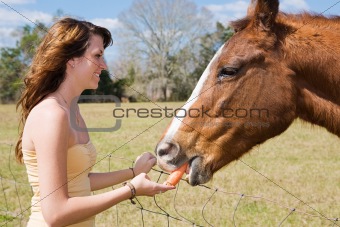 Teen Girl Feeds Horse