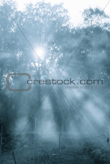 ray of sun across the mist