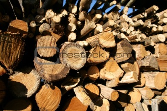 heap of wood