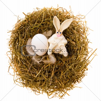 Easter rabbit in a nest