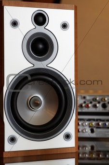 close-up of wooden hi-fi loudspeaker (shallow DOF on cone)