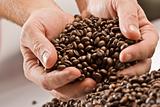 coffee grains 