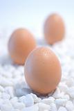 Eggs on white pebbles background