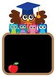 Owl teacher and owlets theme image 8