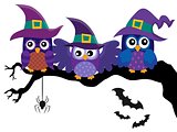 Owl witches theme image 2