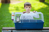 Preschool boy opening a cage with a pet rabbit in a park
