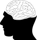 Head and Brain