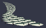 Background mackerel shoal