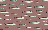 Seamless pattern mackerel fish