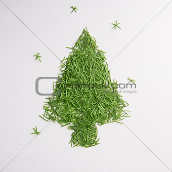 Green tree of the needles